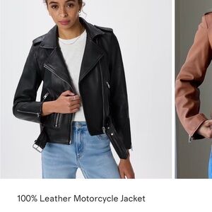 Quince Black Leather Motorcycle Jacket